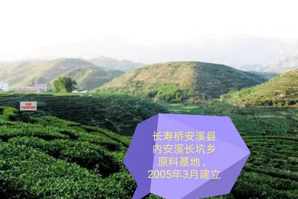 臻贵人•铁观音/K•魅力