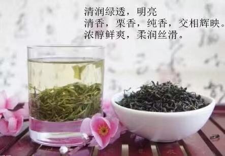 明前女儿绿茶150g